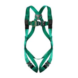 2-Point Pro Harness