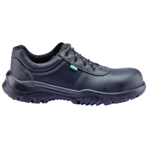 Multi Safety Shoe